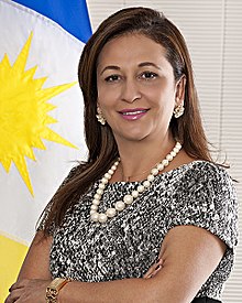 Senadora Katia Abreu Oficial.jpg