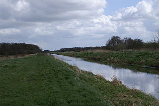 Shapwick Heath biological Site of Special Scientific Interest and national nature reserve