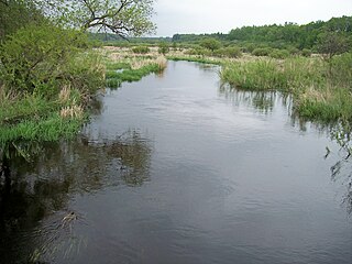 <span class="mw-page-title-main">Shell River (Minnesota)</span> River in Minnesota, United States