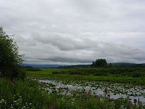 Silver Lake Washington Wikipedia