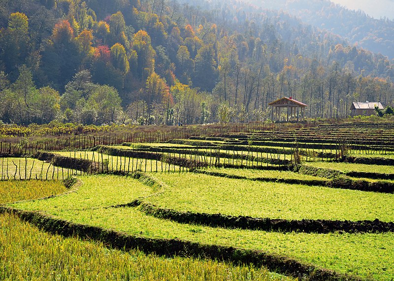 File:Siyahkal - Deylaman Road - panoramio.jpg