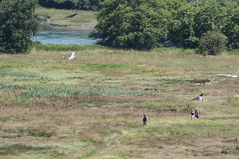 File:Skagit River 2728.JPG