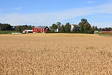 Foto eines Bauernhofs, im Vordergrund ein Getreidefeld