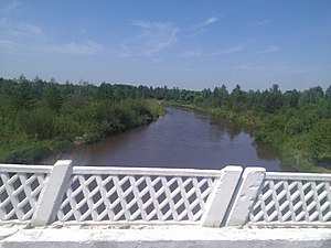 Slovechna River in Narowlya region.jpg