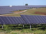 Choleo solar farm Palmar