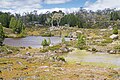 Solomon's Jewels, Walls of Jerusalem National Park, Tasmania, Australia