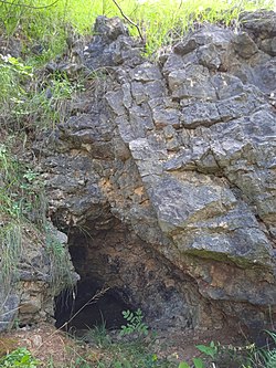 A Solymári kőfejtő 1. sz. barlangja bejárata