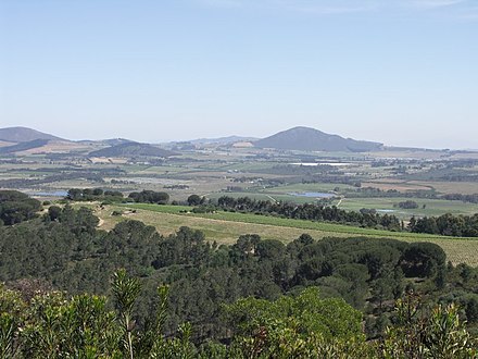 The Western Cape winelands produce very good wine.