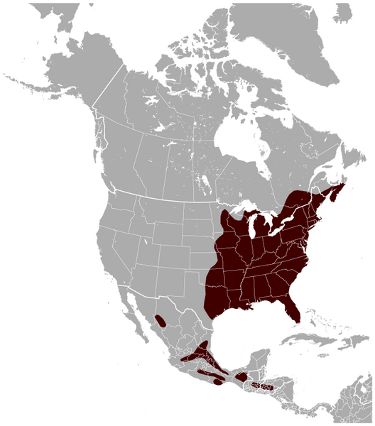 File:Southern flying squirrel Glaucomys volans distribution map.png