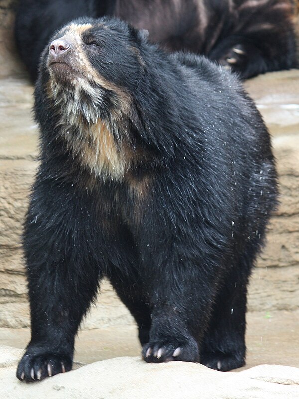 Nationalpark Baritú