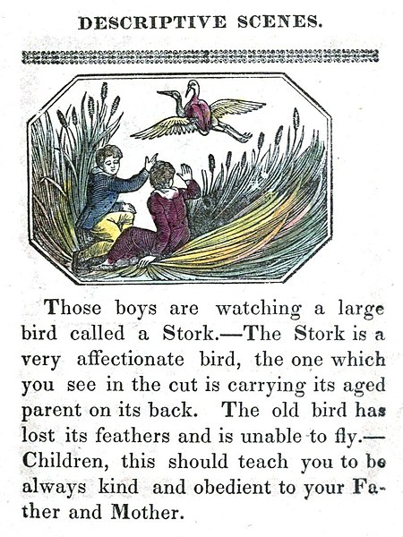 File:Stork moral education.jpg