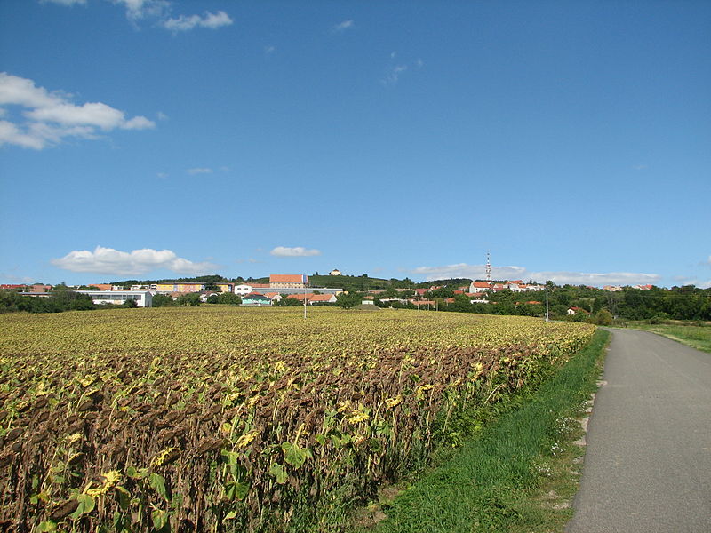 File:Strážovice - pohled od Stavěšic.JPG