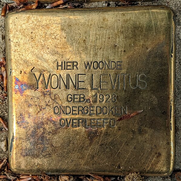 File:Struikelsteen voor Yvonne Levitus (1928-), Vossenlaan 28, Nijmegen.jpg