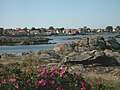 Svaneke, Hafen, aus der Sicht vom Leuchtturm