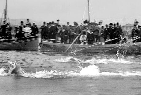 Olympische Sommerspiele 1896/Schwimmen – 100 m Freistil (Männer)