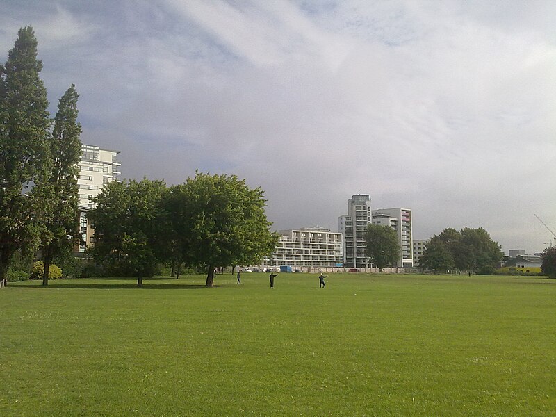 File:Tai chi in the park.jpg