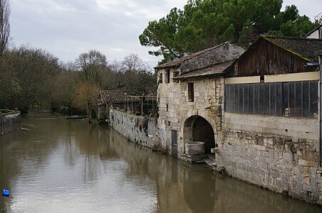 Ancient tannery