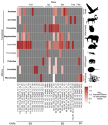 Таксономические профили животных, ДНК которых была обнаружена в формации