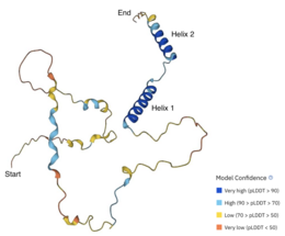 Tertiary Structure of human C11orf91 protein. Created with AlphaFold Protein Structure Database. Tertiary Structure of C11orf91.png