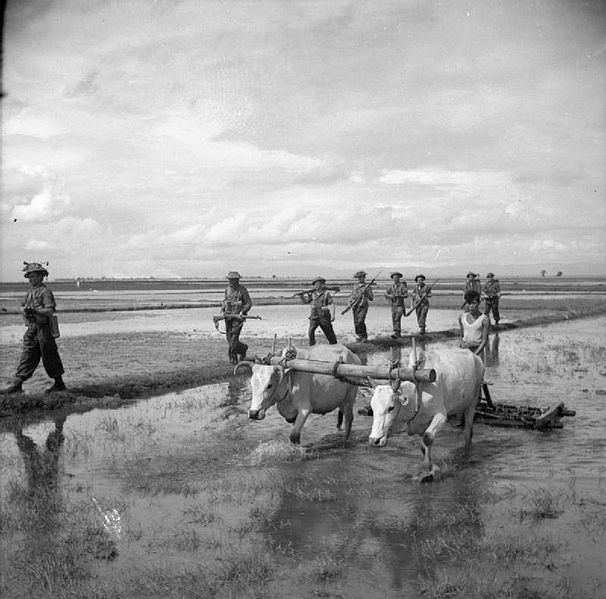 File:The British Army in Burma 1945 SE4340.jpg