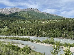 The Nenana River in June 2022