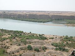 The Tigris River outside the city of Mosul, in Iraq or Mesopotamia. Both the lion and the tiger used to be present in this area.[1][2]