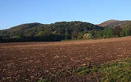 Tinkers Tepesi - geograph.org.uk - 590231.jpg