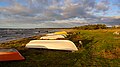 * Nomination Tofta strand (beach). Tofta, Gotland (Sweden). --ArildV 05:11, 24 November 2023 (UTC) * Promotion  Support Good quality.--Agnes Monkelbaan 05:19, 24 November 2023 (UTC)  Support Good quality.--Tournasol7 05:20, 24 November 2023 (UTC)