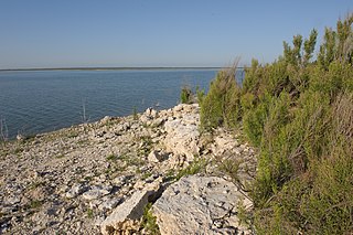 <span class="mw-page-title-main">Twin Buttes Reservoir</span> Water supply reservoir in southwest of San Angelo, Texas