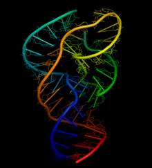 Twister Ribozyme Struktur.png