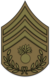 US Army OD Chevron Sergeant First Class Ordnance 1917-1918.png