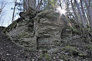 <span class="mw-page-title-main">Ubari Landscape Conservation Area</span> Protected area in Estonia