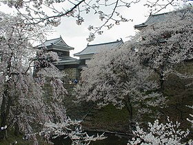 Image illustrative de l’article Château d'Ueda
