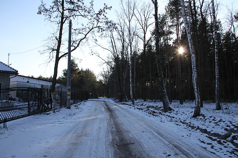 File:Ulica Spacerowa - Marki - panoramio.jpg