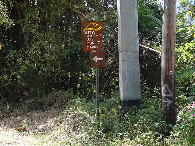 A sign on westbound PR-143 in Barrio Ala de la Piedra, Orocovis, Puerto Rico, pointing out Ruta Panorámica near PR-149