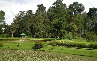 <span class="mw-page-title-main">Victoria Park, Nuwara Eliya</span>