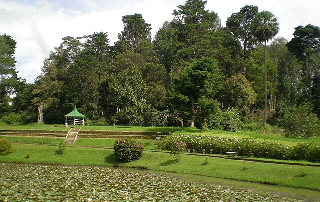 Victoria Park.