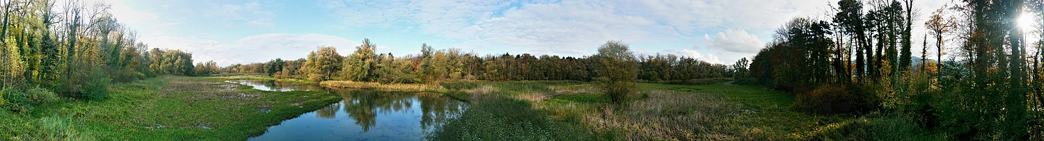 Panorama from the bird watching tower Bisenwäldeli