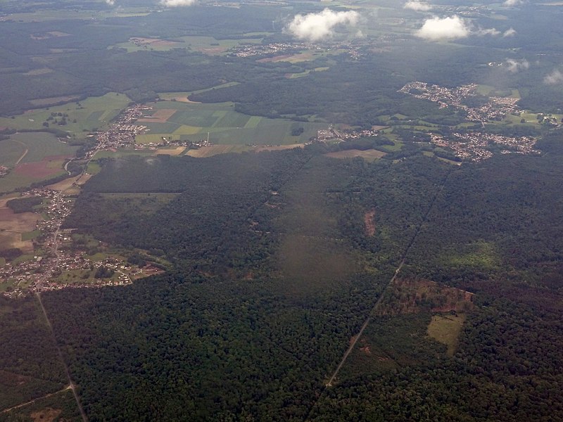 File:Vue aérienne de la forêt de Laigue 01.jpg