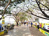 A View of Marine Drive, Kochi, Kerala, India