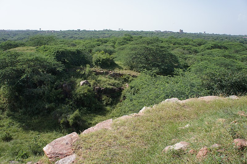 File:Walls of Lal Kot and Rai Pithora's fort at the point where they meet together.JPG