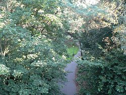 Alum Chine Westbourne, looking down on Alum Chine - geograph.org.uk - 972216.jpg