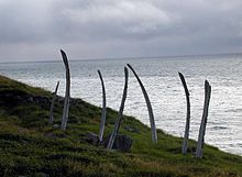 For ceremonial reasons whale bones are erected at Naukan village Whale Bones, Cape Dezhnev.jpg