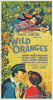 <i>Wild Oranges</i> 1924 film