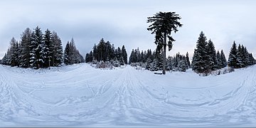 Winter im Naturschutzgebiet Assberg-Hasenleite, Thüringen