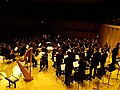 Thumbnail for Youth Symphony Orchestra of Ukraine