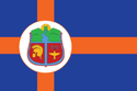 Zajecar - Drapeau