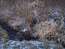 Soutok vodního toku Zemanův žleb s poměrně menším vodním tokem od Březové aleje