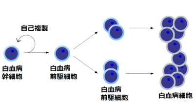 白血病 - Wikipedia