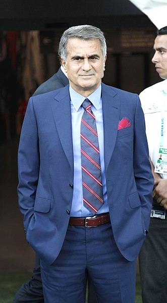 File:Şenol Güneş, Aug 2017.jpg